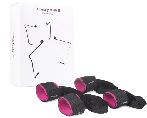 Toynary MT07 【Four Corners】