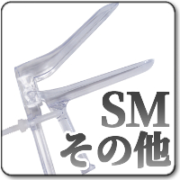 SMその他