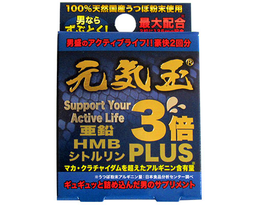 元気玉3倍 2回分