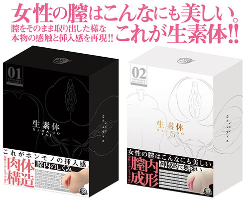 生素体 01