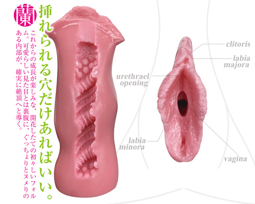 まるごと小陰唇　蘭（らん）