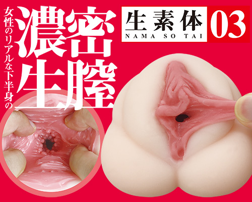 生素体 03