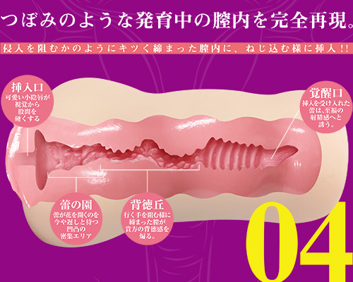 生素体 04