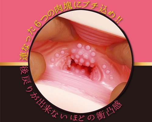 6連肉塊　衝凸ラミア