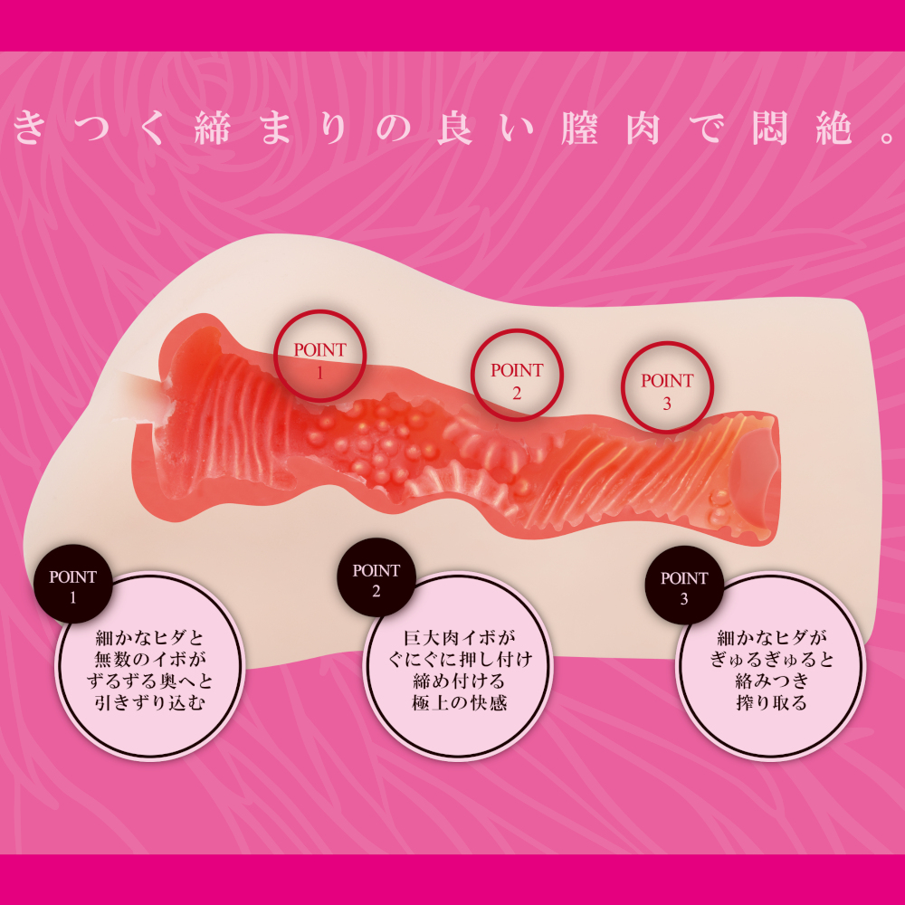 膣肉生陰唇　純