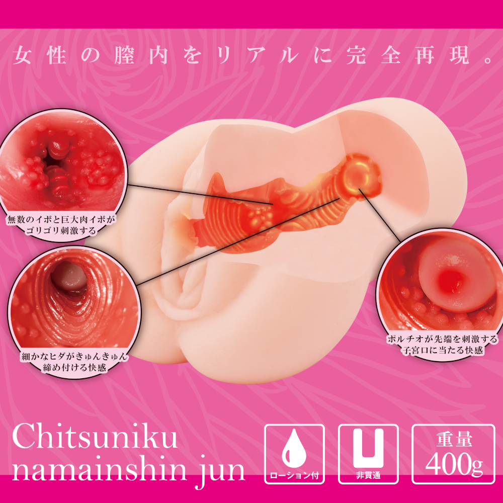 膣肉生陰唇　純