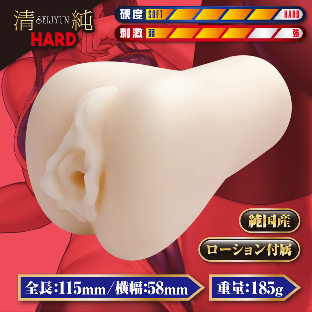 ぶちヌキビッチ 清純ハード