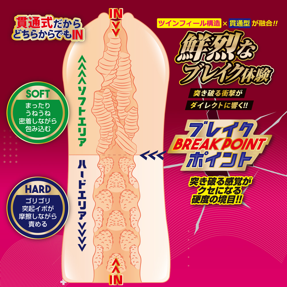 ツインフィニティ ブレイク リズ