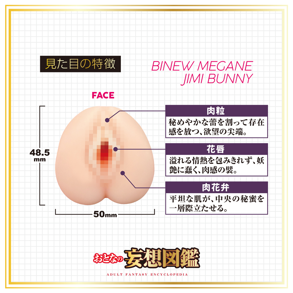 おとなの妄想図鑑 微乳眼鏡地味バニー