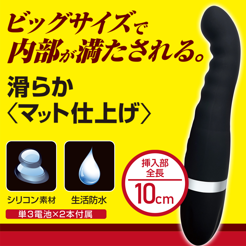 アナスティック　ビッグシリコン【TYPE A】