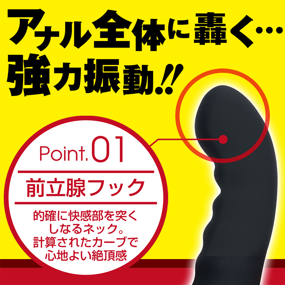 アナスティック　ビッグシリコン【TYPE A】