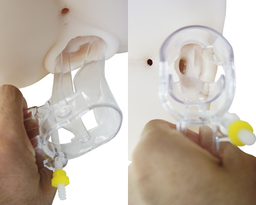 MEDY[メディ] no.6 プラスチックビーク Mサイズ