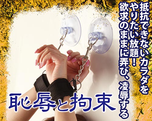 調教 吸盤付き手枷
