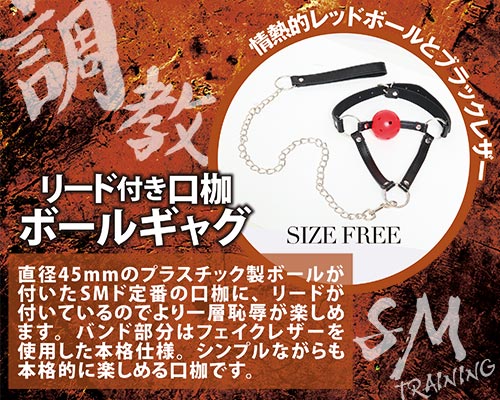 調教　リード付き口枷　ボールギャグ
