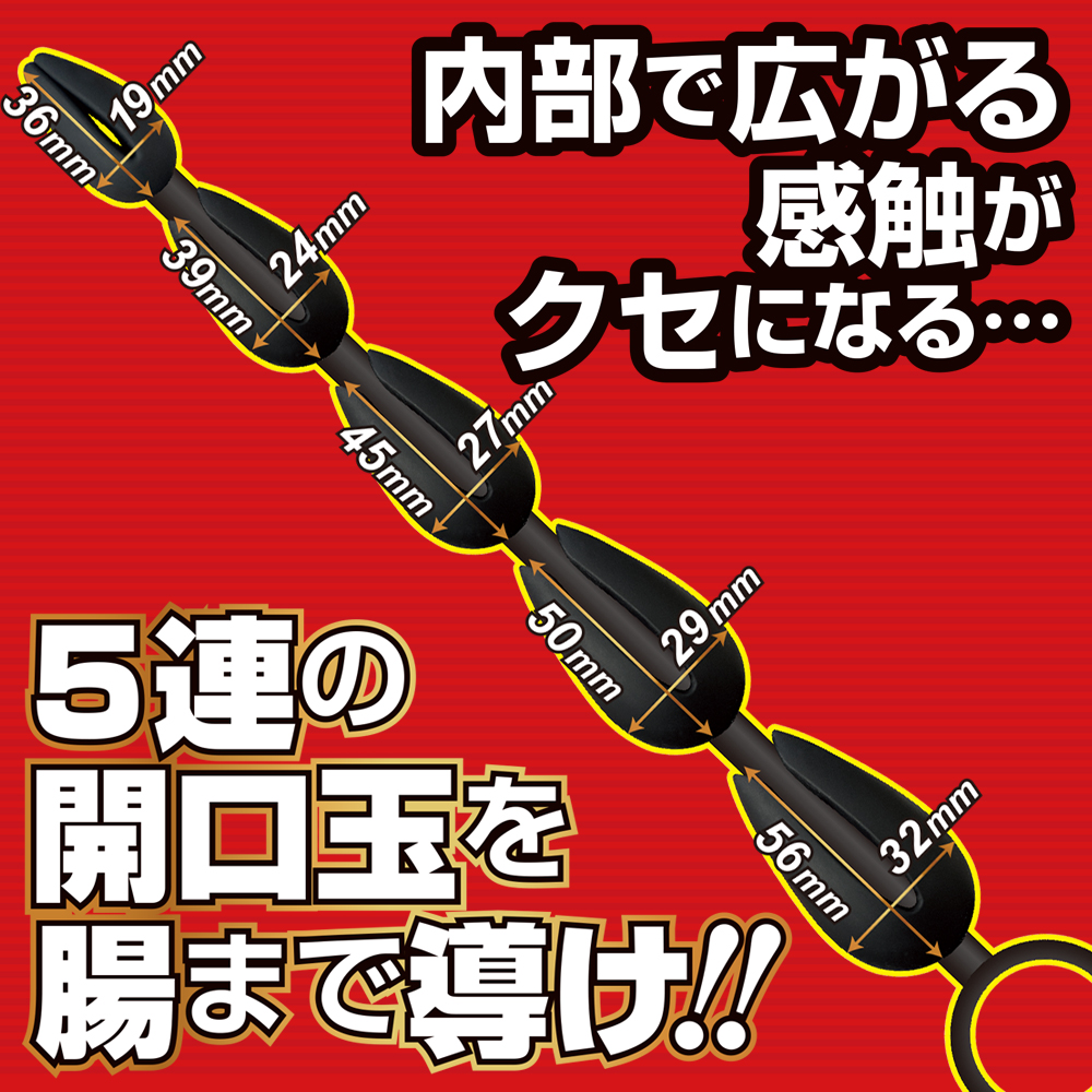 5連アナパッカーン　シリコン