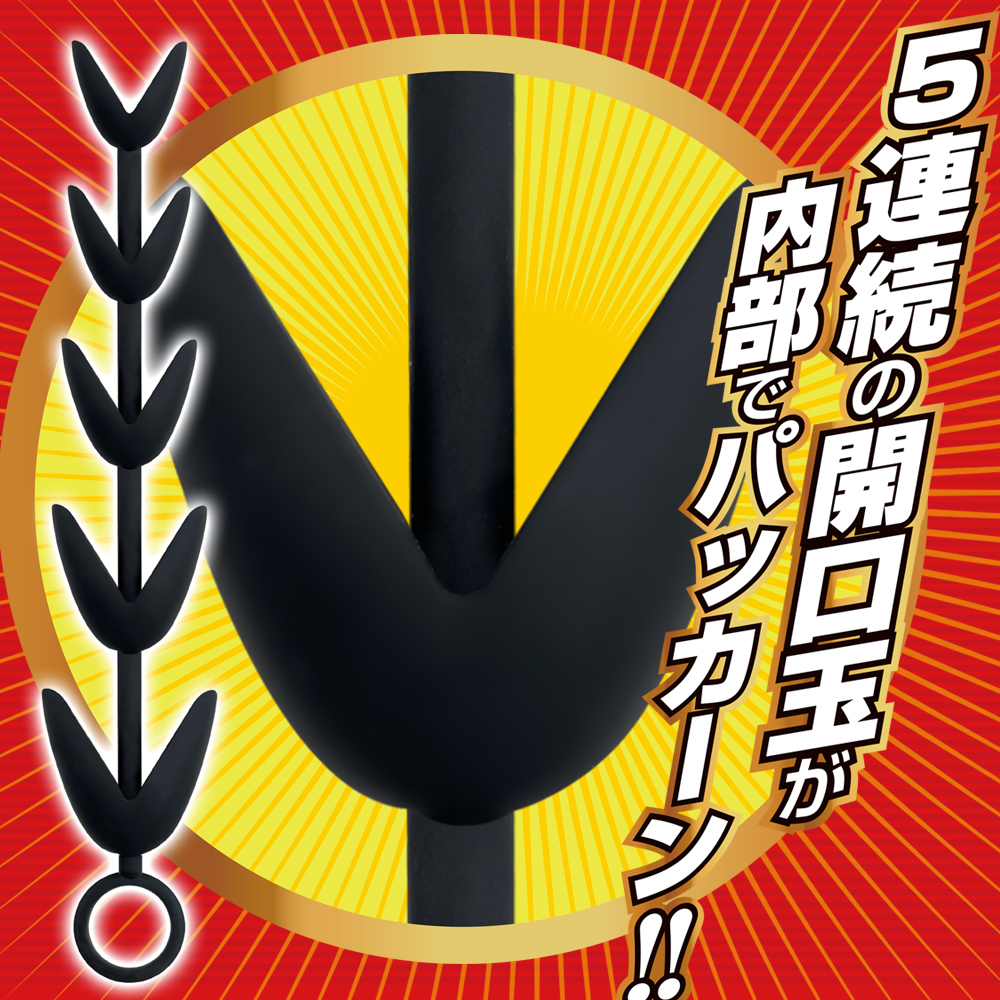 5連アナパッカーン　シリコン